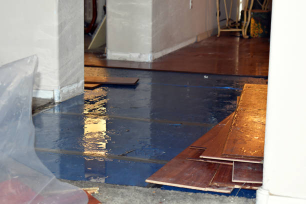 Professional Flood Cleanup technician working in Montrose, MI