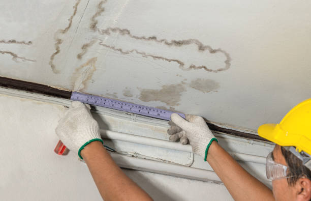 Reliable Flood Cleanup contractor in Montrose, MI by Water Damage Irwin